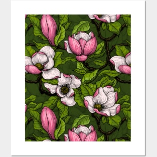 Blooming magnolia on dark green Posters and Art